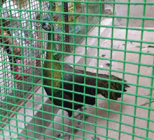 南昌養殖網圍欄規