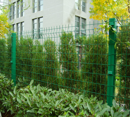 沌口小區(qū)周邊綠化